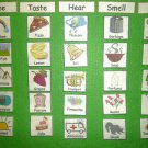 5 Senses Science Match - Hear, See, Feel, Smell, & Taste:  FELT or LAMINATED