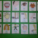 Human Body Parts Sight Words in Dual Language:  FELT or LAMINATED CARDSTOCK
