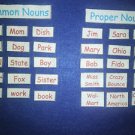 Common or Proper Noun Set  - FELT or LAMINATED CARDSTOCK, Your Choice