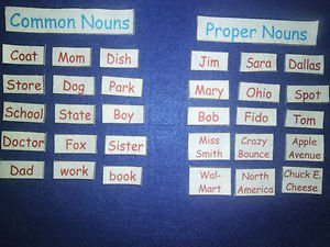 Common or Proper Noun Set  - FELT or LAMINATED CARDSTOCK, Your Choice