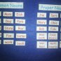 Common or Proper Noun Set  - FELT or LAMINATED CARDSTOCK, Your Choice