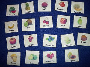 Preschool Fruit & Vegetable Felt Pieces/ Learning Tool NEW