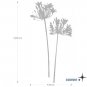 Big 72inch agapanthus flowers Removable wall decals stickers