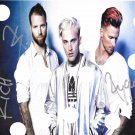 HIGHLY SUSPECT SIGNED Mister Asylum PREPRINT PHOTO THE BOY WHO DIED WOLF