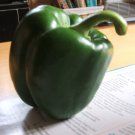 Organic Sweet Green Bell Pepper Seeds - Homegrown