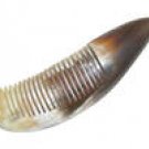 Genunie Ox-horn Comb