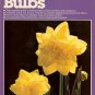 All About Bulbs