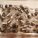 40 X , 61/4 amp glass fuse 250 V , 313