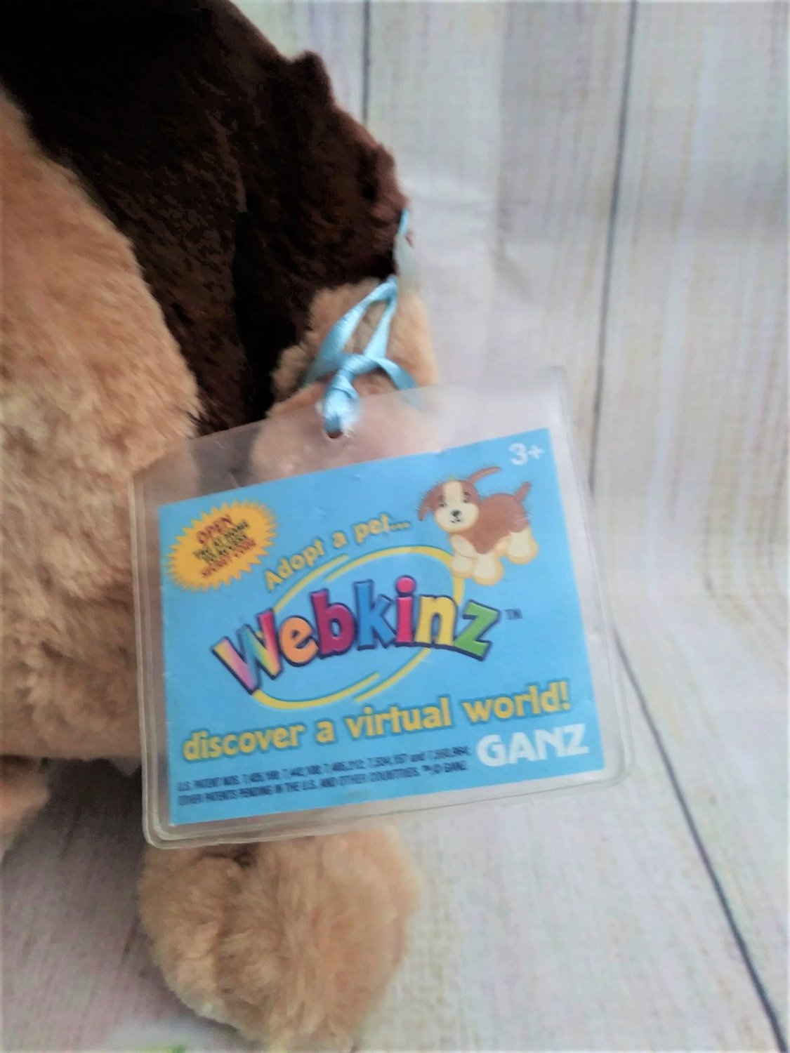 samuel ganz webkinz