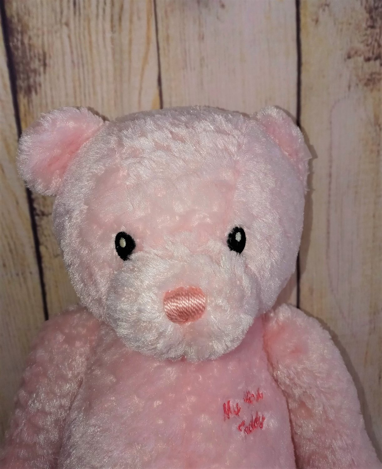 gund my first teddy bear pink