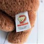 Plushland 2008 - Brown Teddy Bear with a "Best Friends Forever" Pillow