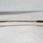 Brand New Fendi Bronze Eyeglasses: Mod. 556 & Case