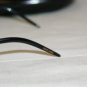 New Roberto Cavalli Shiny Black Eyeglasses: Mod. RC 487 (001) 56-15 & Case