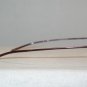 Brand New Gucci Dark Red Eyeglasses: Mod. 1664 & Case