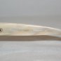 B. New Kate Spade Ivory Sunglasses: Mod. Carla & Case