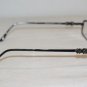 New BCBG Maxazria Black Eyeglasses: Mod. Vivi & Case