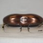 Brand New Just Cavalli 175 Black 49-18 Eyeglasses: Mod. 175 (B5) & Case