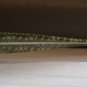 Brand New BCBGMaxazria Eyeglass Mod. Anjolie Col. OLI 51-17 & Case