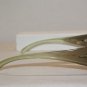 Brand New Christian Dior Wiz Brown/Green 26K Sunglasses: Mod. Wiz 55-19 &Case