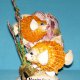 Shell Craft