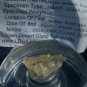 Libyan Desert Glass Meteorite Tektite impact specimen( 14 crt) dimples Real Gem