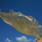 Libyan Desert Glass Meteorite Tektite impact specimen( 140 crt) dimples Gem