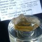 Libyan Desert Glass Meteorite Tektite impact specimen( 144 crt)dimples Drak Gem