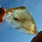 Libyan Desert Glass Meteorite Tektite impact specimen(139 crt) Real Gem Rare