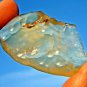 Libyan Desert Glass Meteorite Tektite impact specimen( 108 crt) Dimples Gem