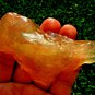 Libyan Desert Glass Meteorite Tektite impact specimen(510 crt)dimplesorgane Gem
