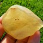 Libyan Desert Glass Meteorite Tektite impact Cintamani( 405 crt)Half Green White