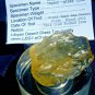 Libyan Desert Glass Meteorite Tektite impact specimen( 154 crt)dimples Real Gem