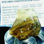 Libyan Desert Glass Meteorite Tektite impact specimen( 235 crt) Brown Dark Gem