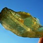 Libyan Desert Glass Meteorite Tektite impact specimen( 491 crt) yellow GEM