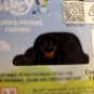 New 2024 SNICKERS Bluey & School Friends sausage dog dachshund single character