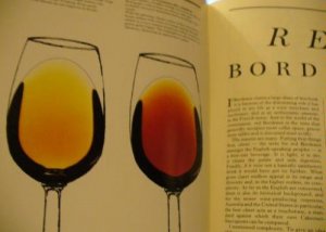 The Great Vintage Wine Book by Michael Broadbent