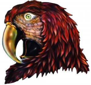 6" printed airbrushed design parrot vinyl decal sticker for any smooth surface.