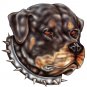 6" printed airbrushed rottweiler dog vinyl decal sticker for any smooth surface.