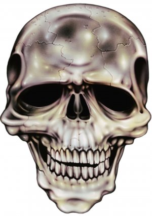 6" printed airbrushed  design skull front view vinyl decal sticker for any smooth surface.