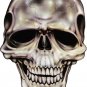 6" printed airbrushed  design skull front view vinyl decal sticker for any smooth surface.