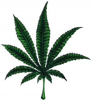 6" printed airbrushed  design weed vinyl decal sticker for any smooth surface.