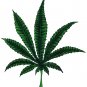 6" printed airbrushed  design weed vinyl decal sticker for any smooth surface.