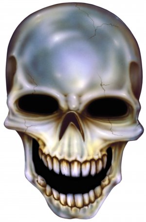 6" printed airbrushed  design skull vinyl decal sticker for any smooth surface.