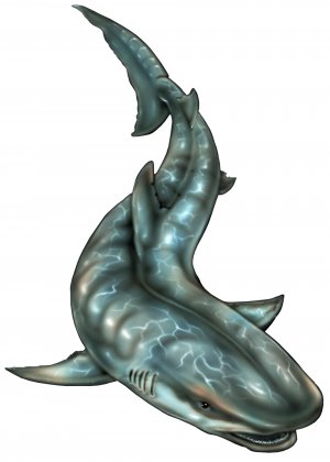 6" printed airbrushed  design shark(2) vinyl decal sticker for any smooth surface.