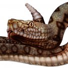 6" printed airbrushed  design rattlesnake vinyl decal sticker for any smooth surface.