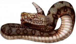 6" printed airbrushed  design rattlesnake vinyl decal sticker for any smooth surface.