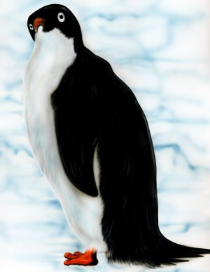 6" printed airbrushed  design penguin vinyl decal sticker for any smooth surface.