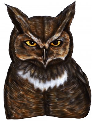 6" printed airbrushed  design owl vinyl decal sticker for any smooth surface.