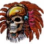 6" printed airbrushed  design native vinyl decal sticker for any smooth surface.