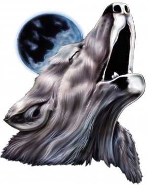 6" printed airbrushed  design howling wolf vinyl decal sticker for any smooth surface.